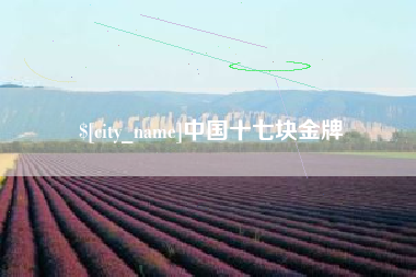 鹤岗中国十七块金牌