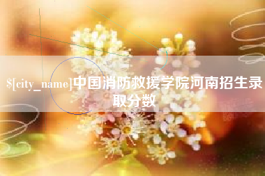 鹤岗中国消防救援学院河南招生录取分数