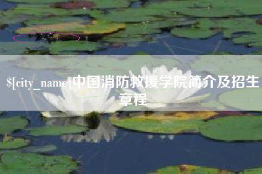 鹤岗中国消防救援学院简介及招生章程