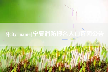 鹤岗宁夏消防报名入口官网公告