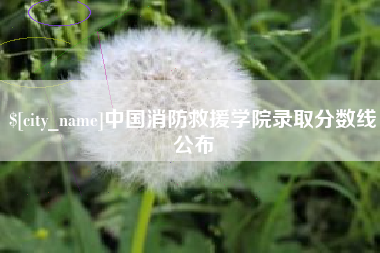 鹤岗中国消防救援学院录取分数线公布