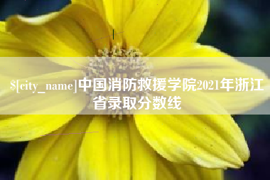 鹤岗中国消防救援学院2021年浙江省录取分数线