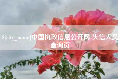 鹤岗中国执政信息公开网-失信人员查询页
