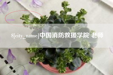 鹤岗中国消防救援学院 老师