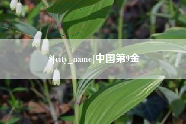 鹤岗中国第9金
