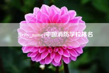 鹤岗中国消防学校排名