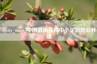 鹤岗中国消防官网中小学消防公开课