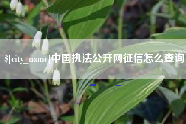 鹤岗中国执法公开网征信怎么查询