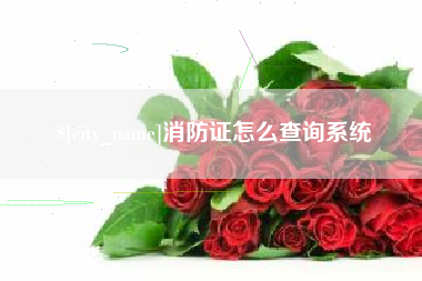 鹤岗消防证怎么查询系统