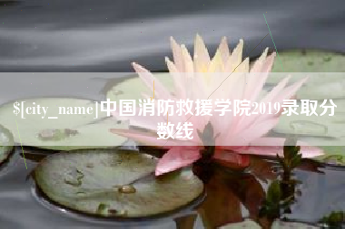 鹤岗中国消防救援学院2019录取分数线