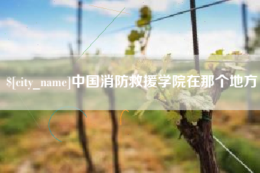 鹤岗中国消防救援学院在那个地方