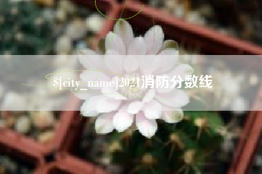 鹤岗2021消防分数线
