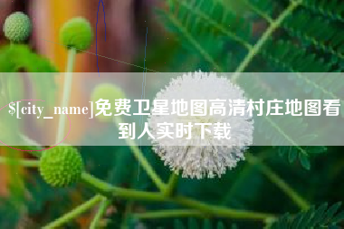 鹤岗免费卫星地图高清村庄地图看到人实时下载