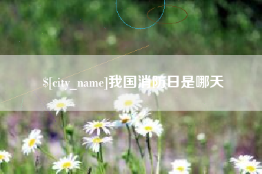 鹤岗我国消防日是哪天