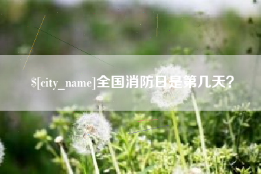 鹤岗全国消防日是第几天？
