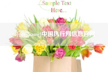 鹤岗中国执行网信息官网
