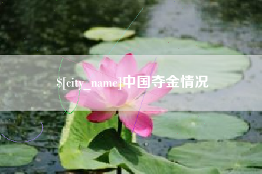 鹤岗中国夺金情况