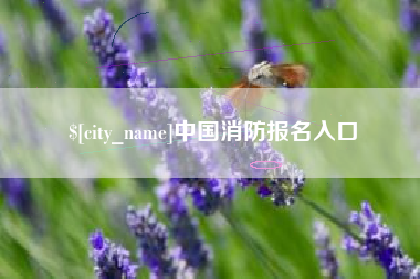 鹤岗中国消防报名入口
