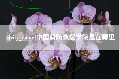 鹤岗中国消防救援学院是在哪里