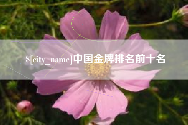 鹤岗中国金牌排名前十名