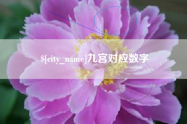 鹤岗九宫对应数字