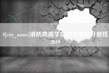 鹤岗消防救援学院招生录取分数线2019