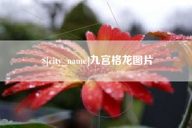 鹤岗九宫格龙图片