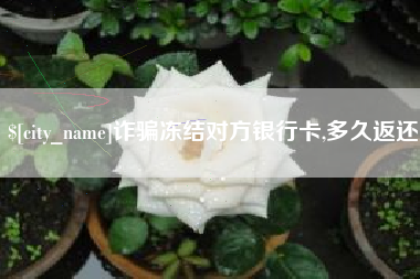 鹤岗诈骗冻结对方银行卡,多久返还