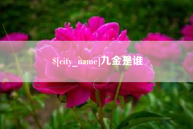 鹤岗九金是谁
