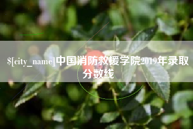 鹤岗中国消防救援学院2019年录取分数线