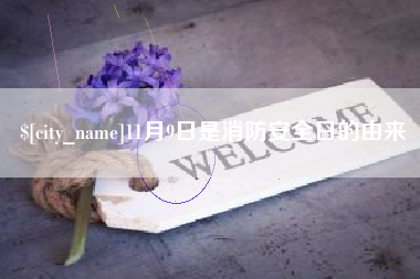 鹤岗11月9日是消防安全日的由来