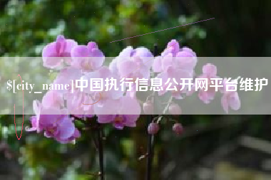 鹤岗中国执行信息公开网平台维护