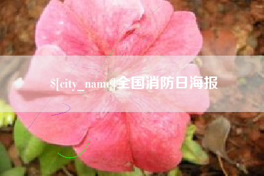 鹤岗全国消防日海报
