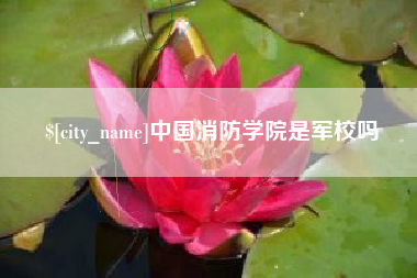 鹤岗中国消防学院是军校吗
