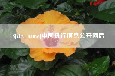 鹤岗中国执行信息公开网后