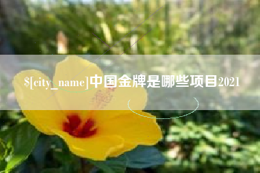 鹤岗中国金牌是哪些项目2021