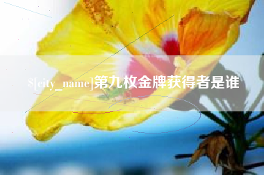鹤岗第九枚金牌获得者是谁