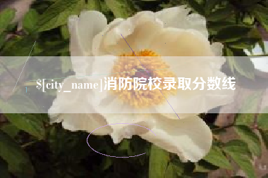 鹤岗消防院校录取分数线