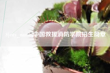 鹤岗中国救援消防学院招生简章