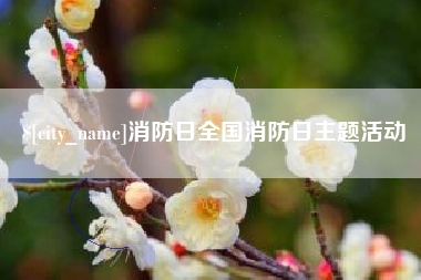 鹤岗消防日全国消防日主题活动