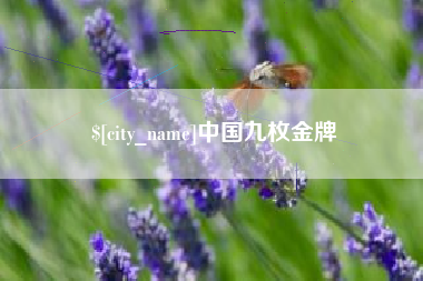 鹤岗中国九枚金牌