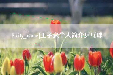 鹤岗王子豪个人简介乒乓球