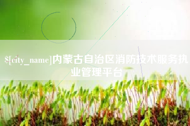 鹤岗内蒙古自治区消防技术服务执业管理平台