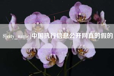 鹤岗中国执行信息公开网真的假的