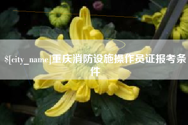 鹤岗重庆消防设施操作员证报考条件