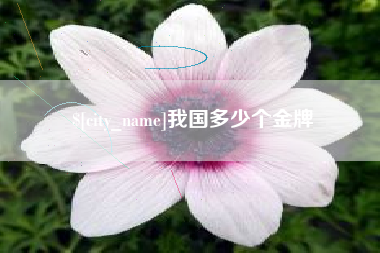 鹤岗我国多少个金牌