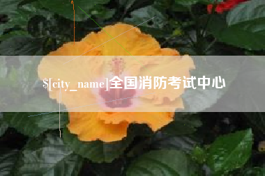 鹤岗全国消防考试中心