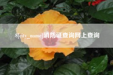 鹤岗消防证查询网上查询