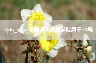 鹤岗中国消防救援学院属于985吗