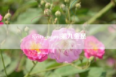 鹤岗第九金是